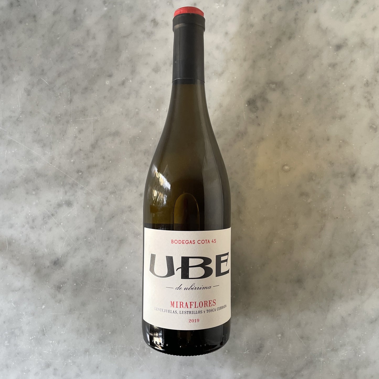 UBE Miraflores 2023 Cota 45