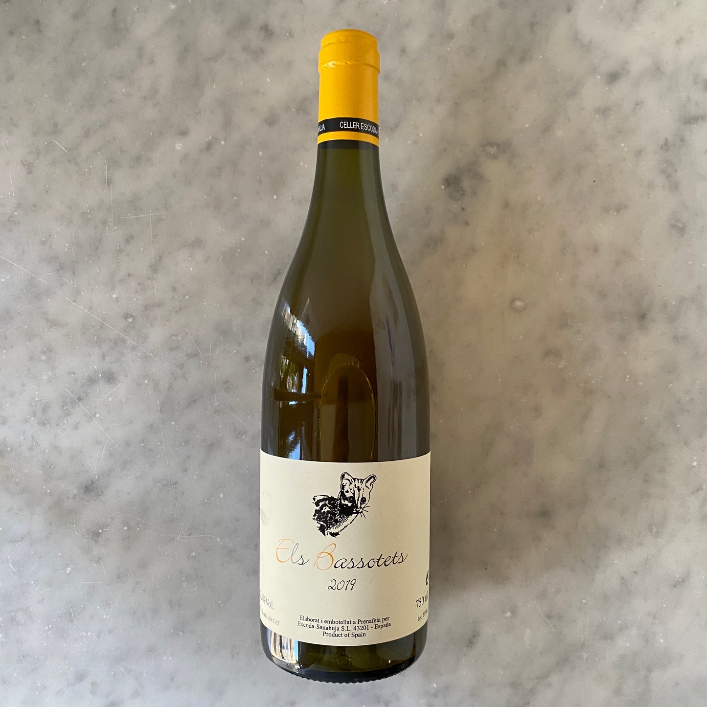 Els Bassotets 2022. Escoda-Sanahuja