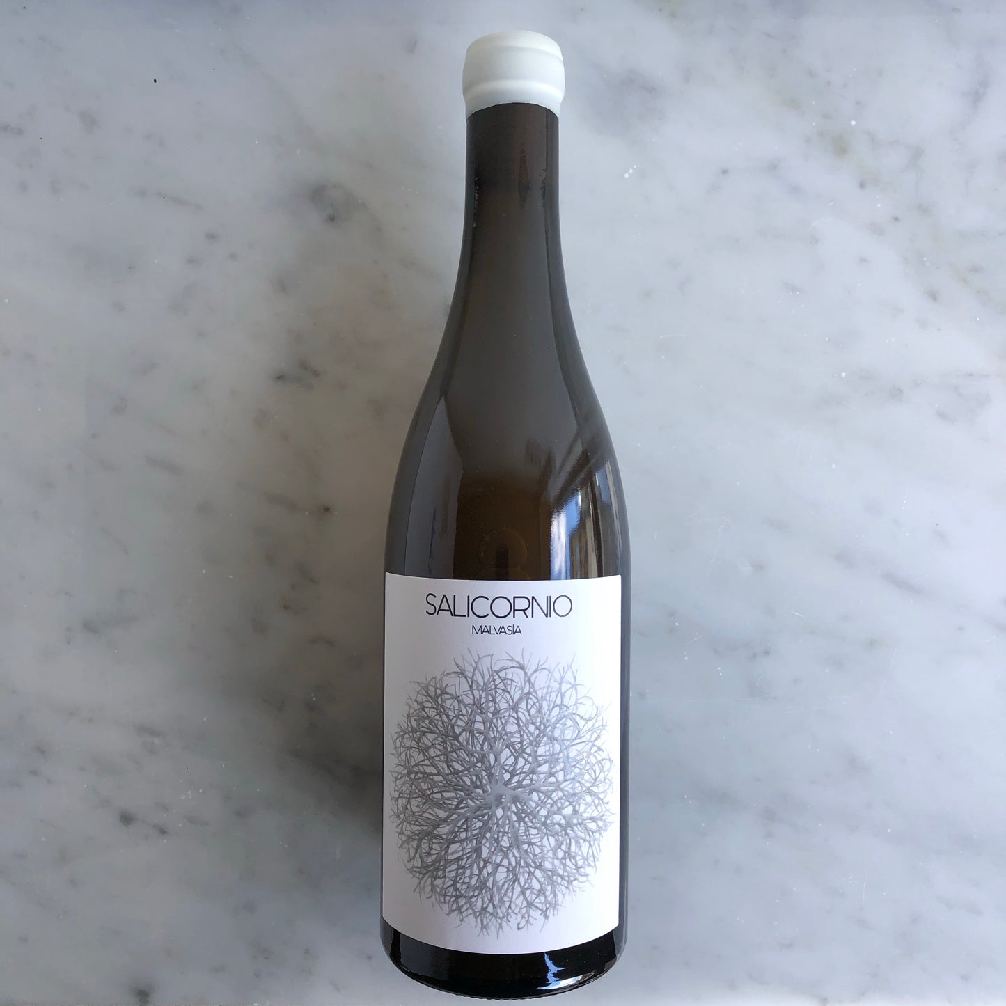 Salicornio Malvasia 2023