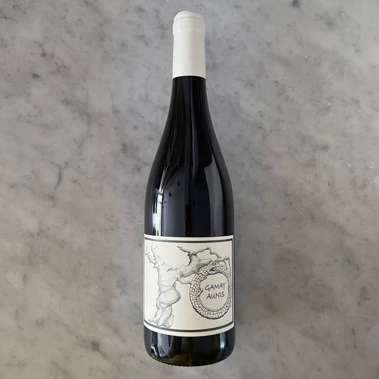 Gamay Aunis, 2021. J.C. Garnier